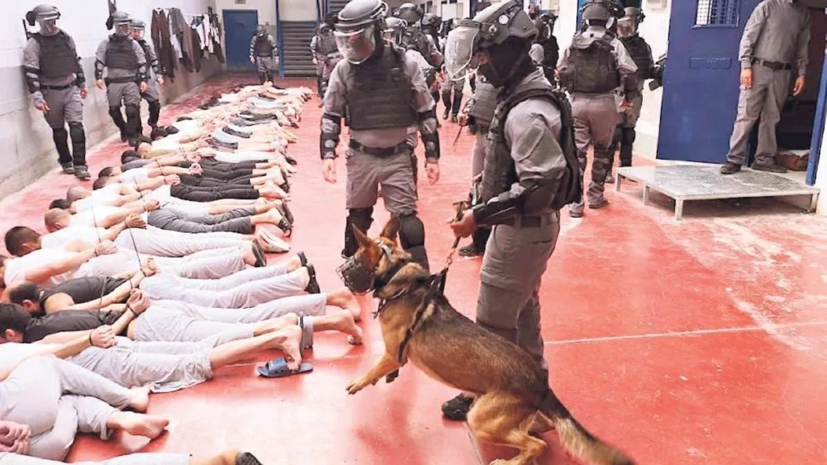 İsrail’den bir barbarlık daha: Esirlere köpeklerle sistematik işkence