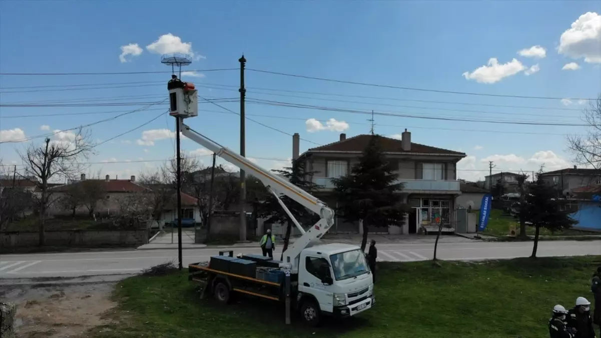 TREDAŞ Leylek Yuvalarını Dronla Koruyor