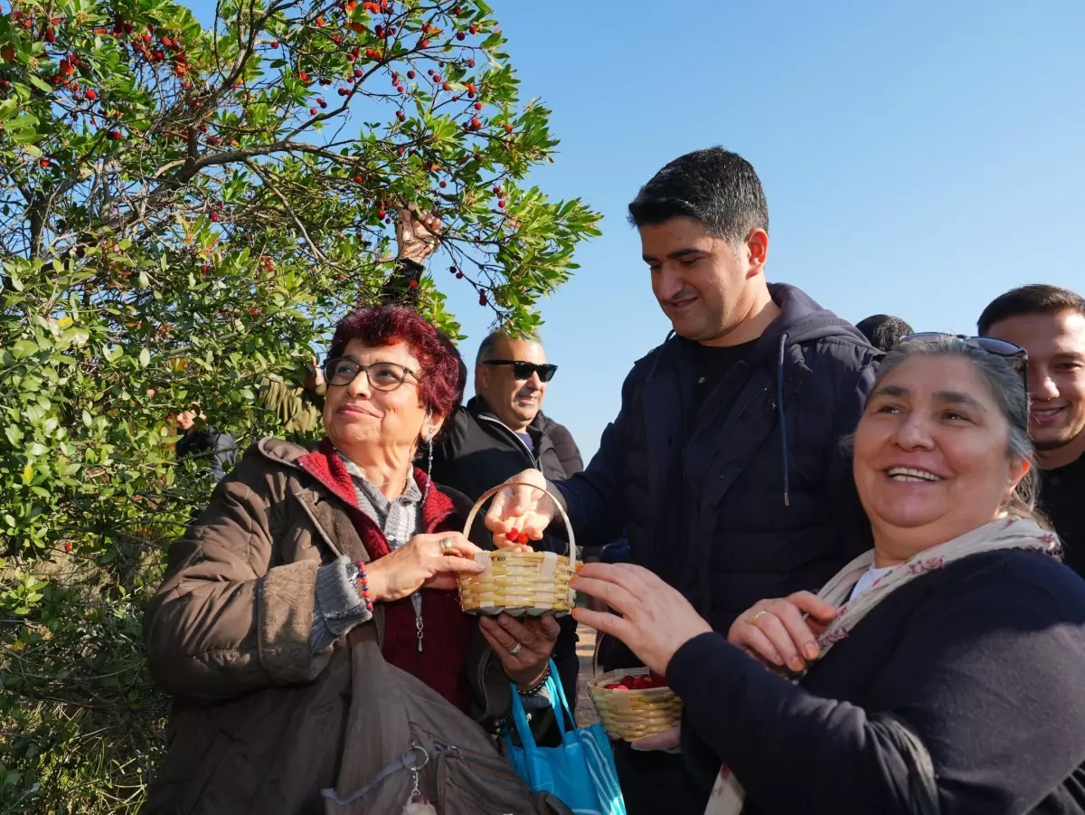 Ataşehir’de Dağ Çileği Festivali