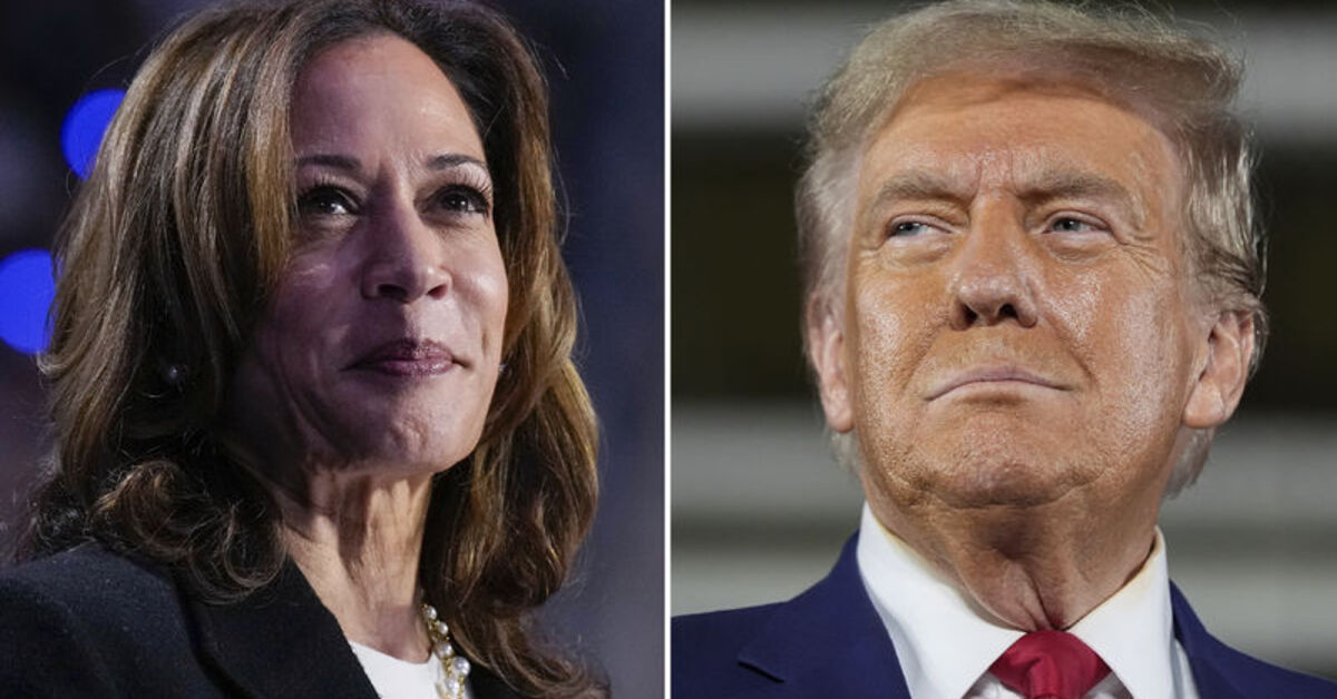 Tahmin edilmesi en zor seçim: Harris mi Trump mı?