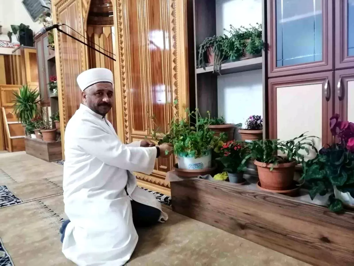 İmam Cami’yi Çiçek Bahçesine Dönüştürdü