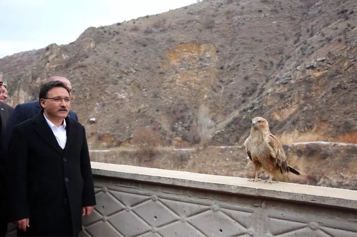 Vali Çiçek’ten yaban hayata dönüş