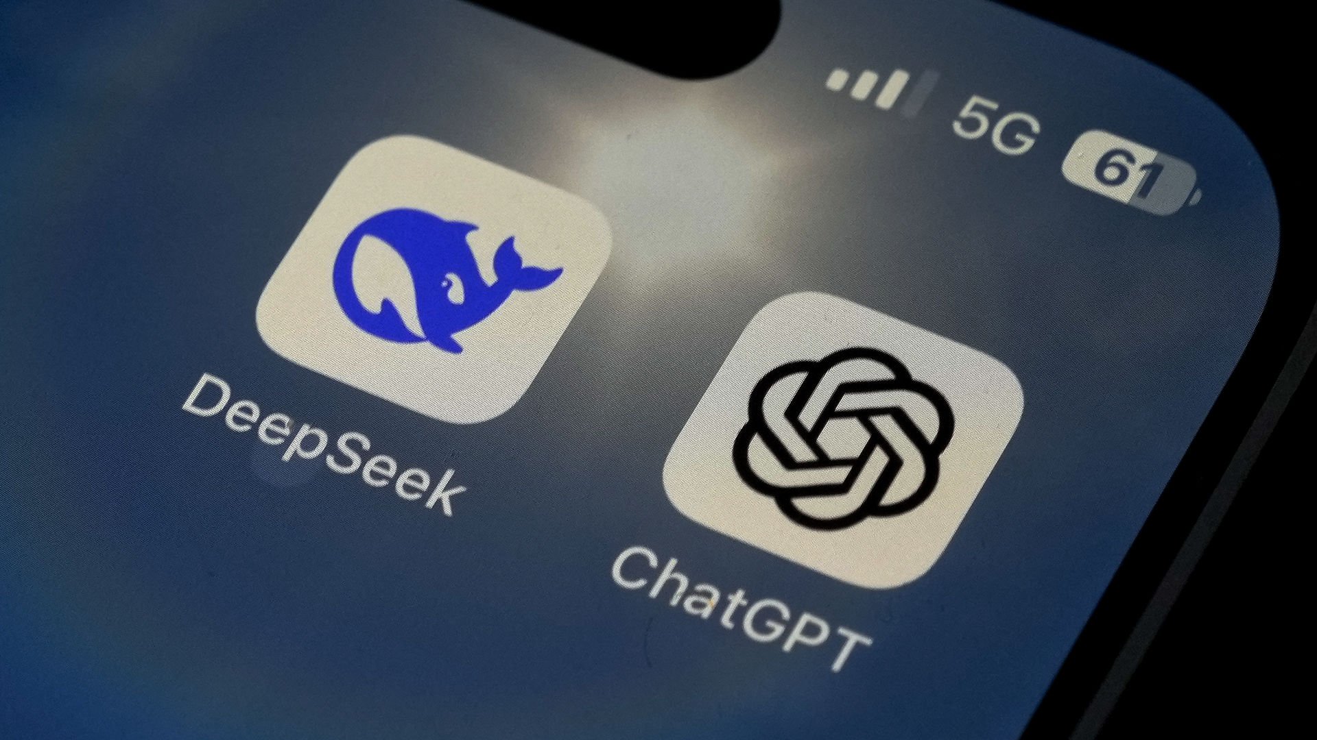 DeepSeek özellikleri