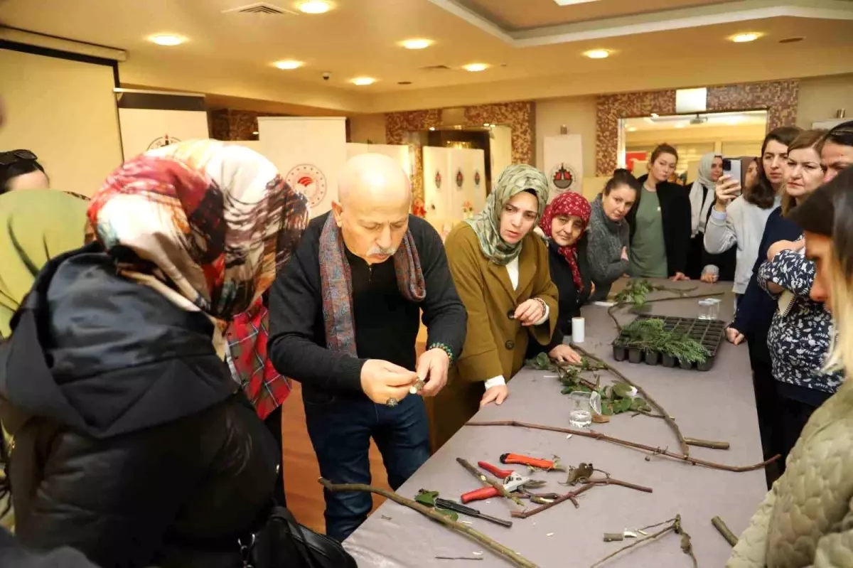 Düzce’de Tarımda Kadın Eli Projesi