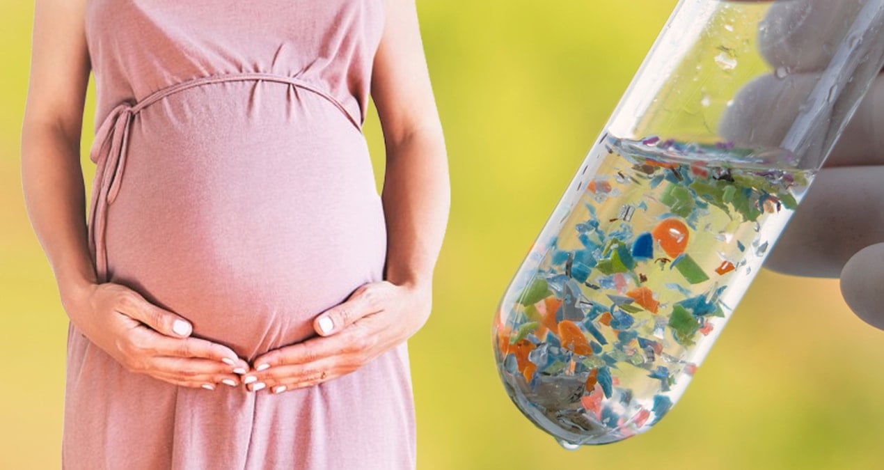 Plastik kirliliği anne karnındaki bebekleri bile etkiliyor!