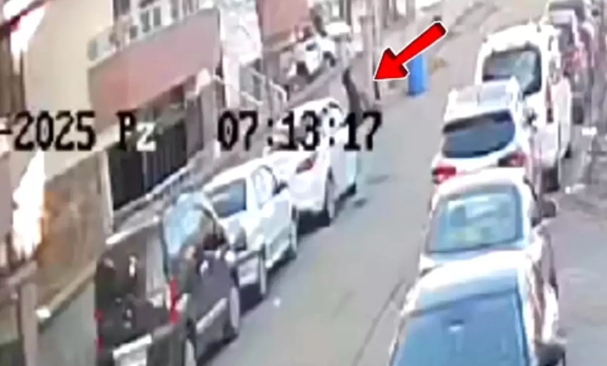 Bingöl’de Hırsızlık Zanlıları Yakalandı
