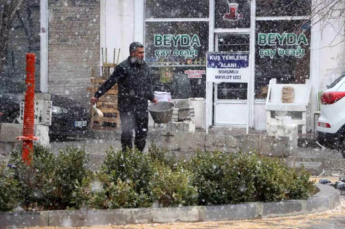İpekyolu’nda Binlerce Güvercin Kar Yağışıyla Güzelleşti
