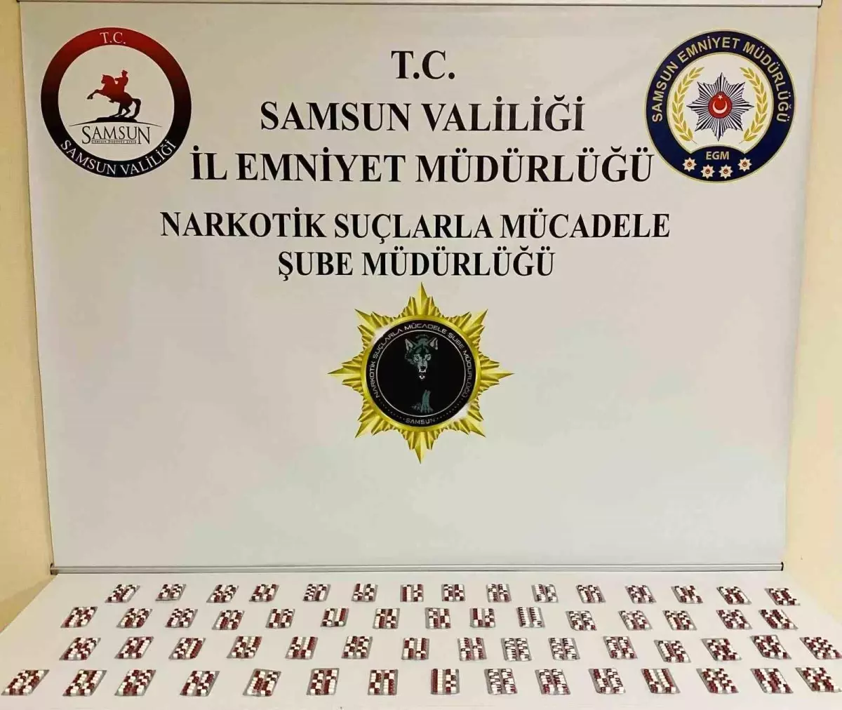 Samsun’da Uyuşturucu Operasyonu: 840 Sentetik Ecza Ele Geçirildi