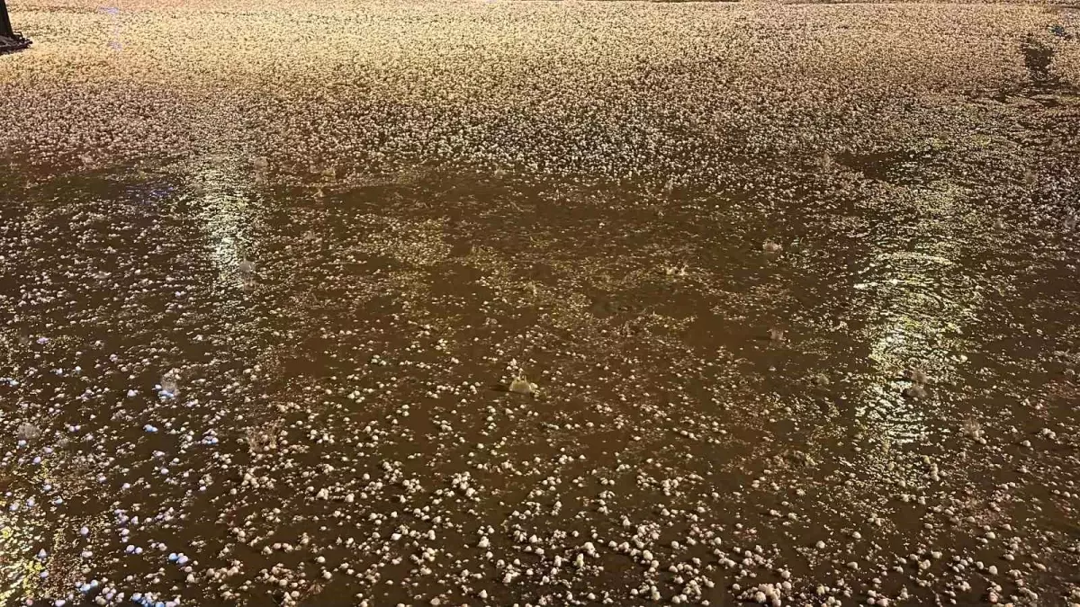 Uşak’ta Dolu Yağışı Yolları Beyaza Bürüdü