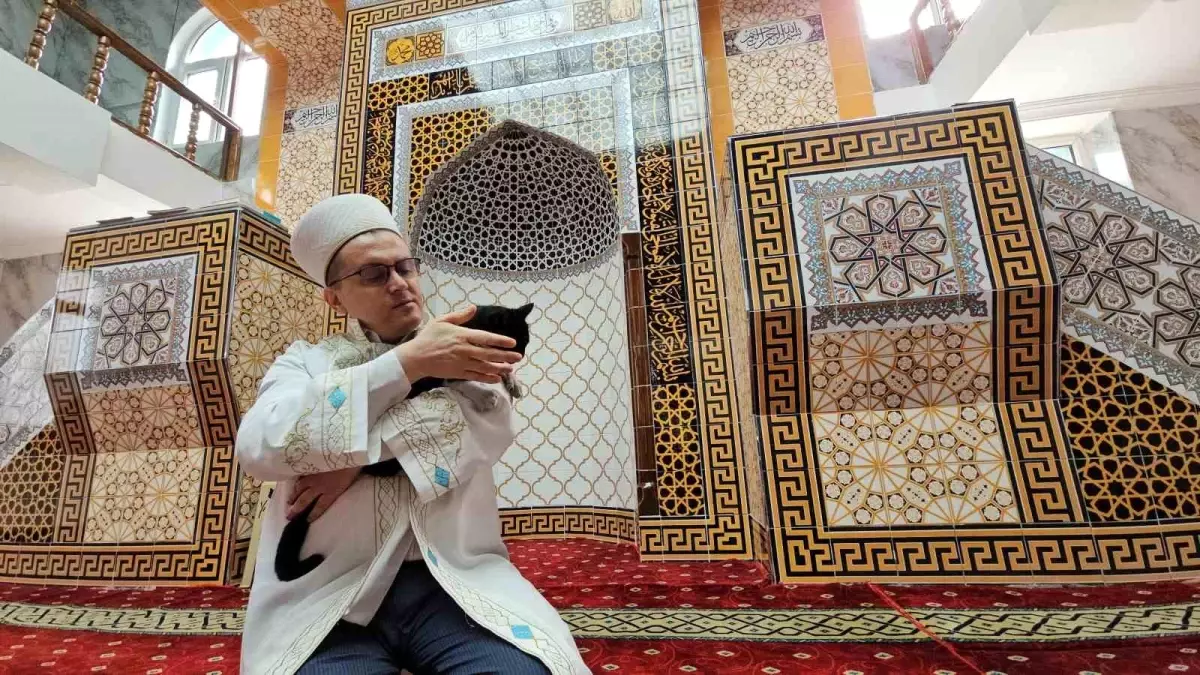 Cami İmamından Bayramda Kedili Hutbe